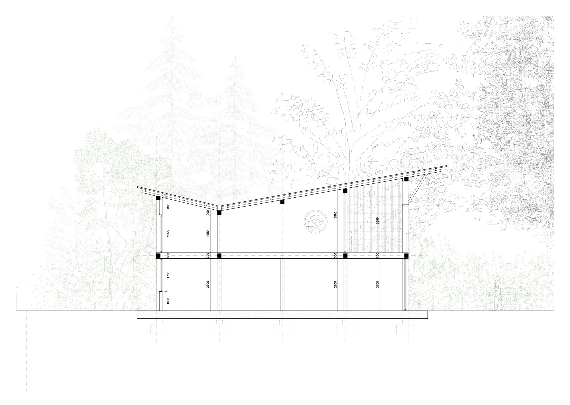 Lisiere-img-plan-racines
