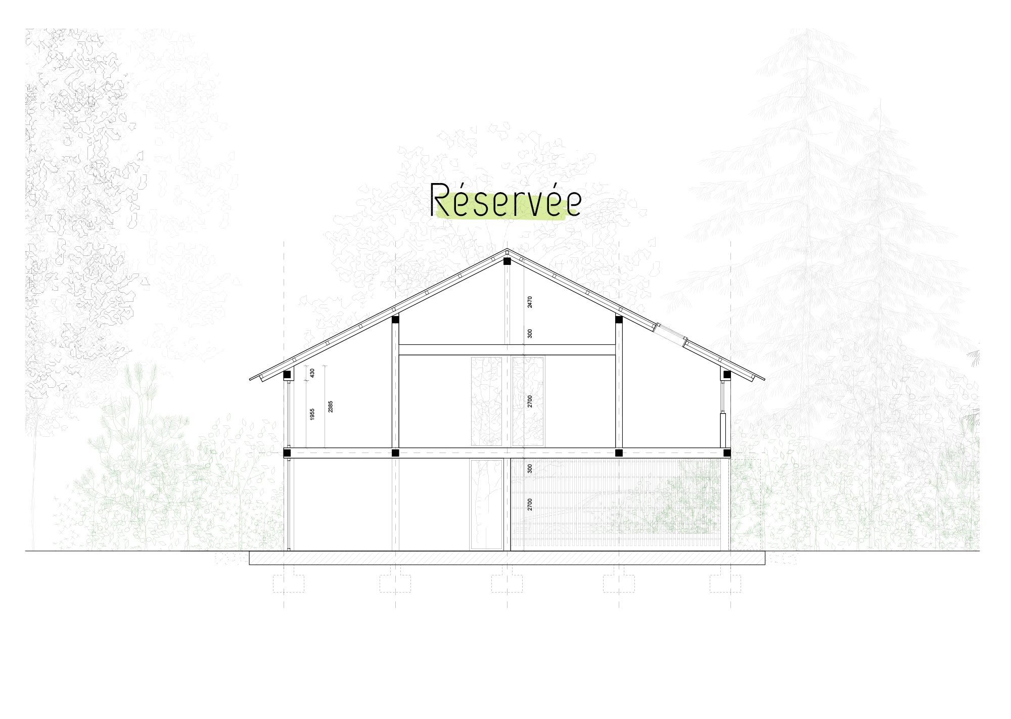 Lisiere-img-plan-ramure-FR